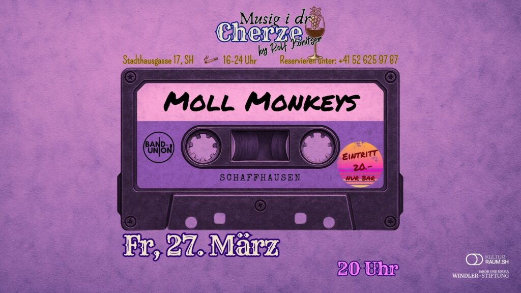 Die Affen sind los: Kerzendebüt für Moll Monkeys