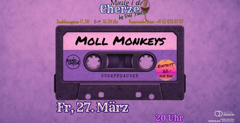 03 - Flyer quer Moll Monkeys